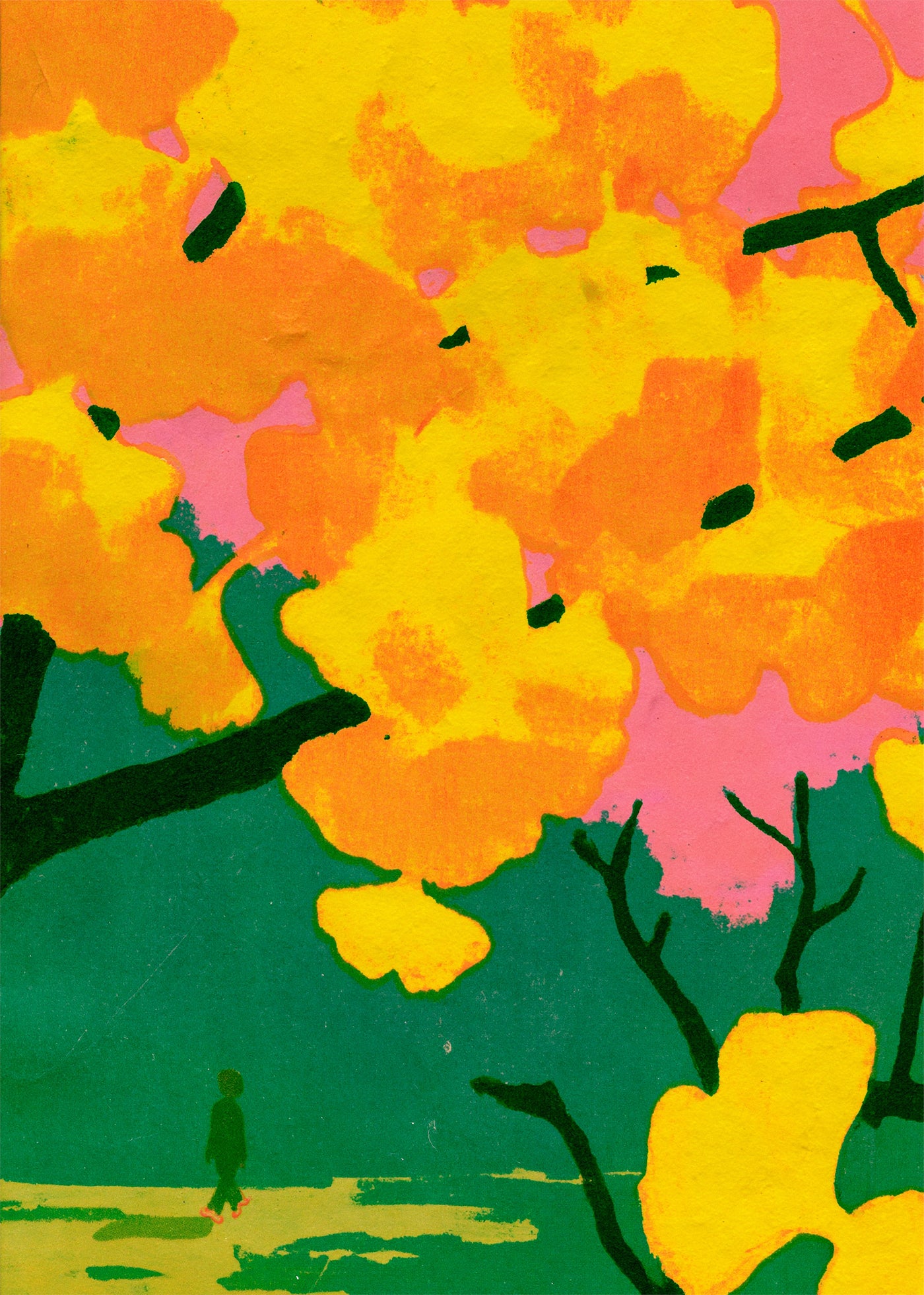Ginkgo, Kyoto