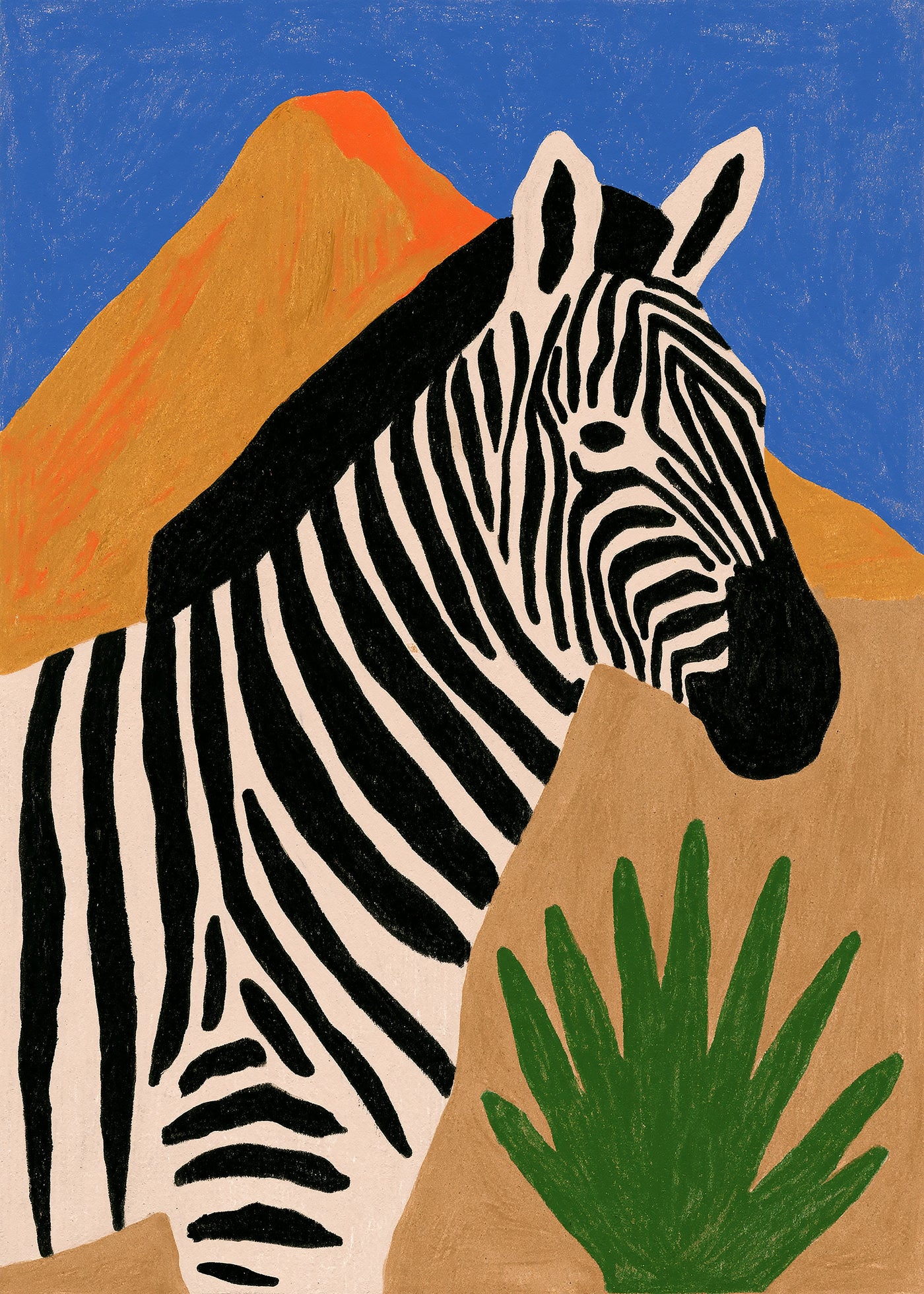 Savanna