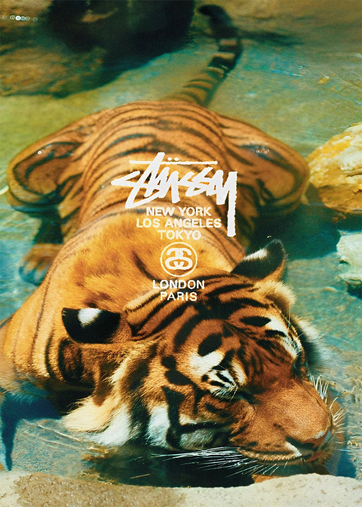 Stüssy 2