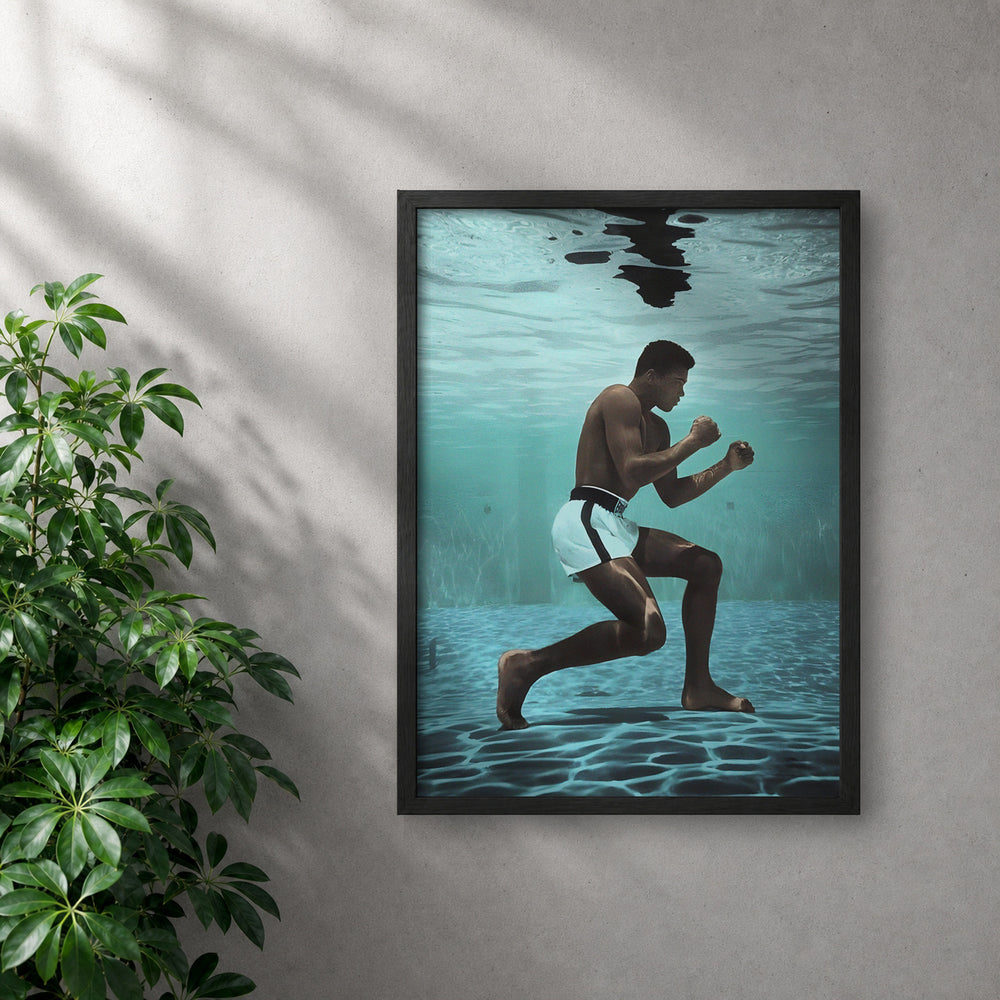 POLARIS_PDP_MOCKUP | NEGRO | Ali - Focus