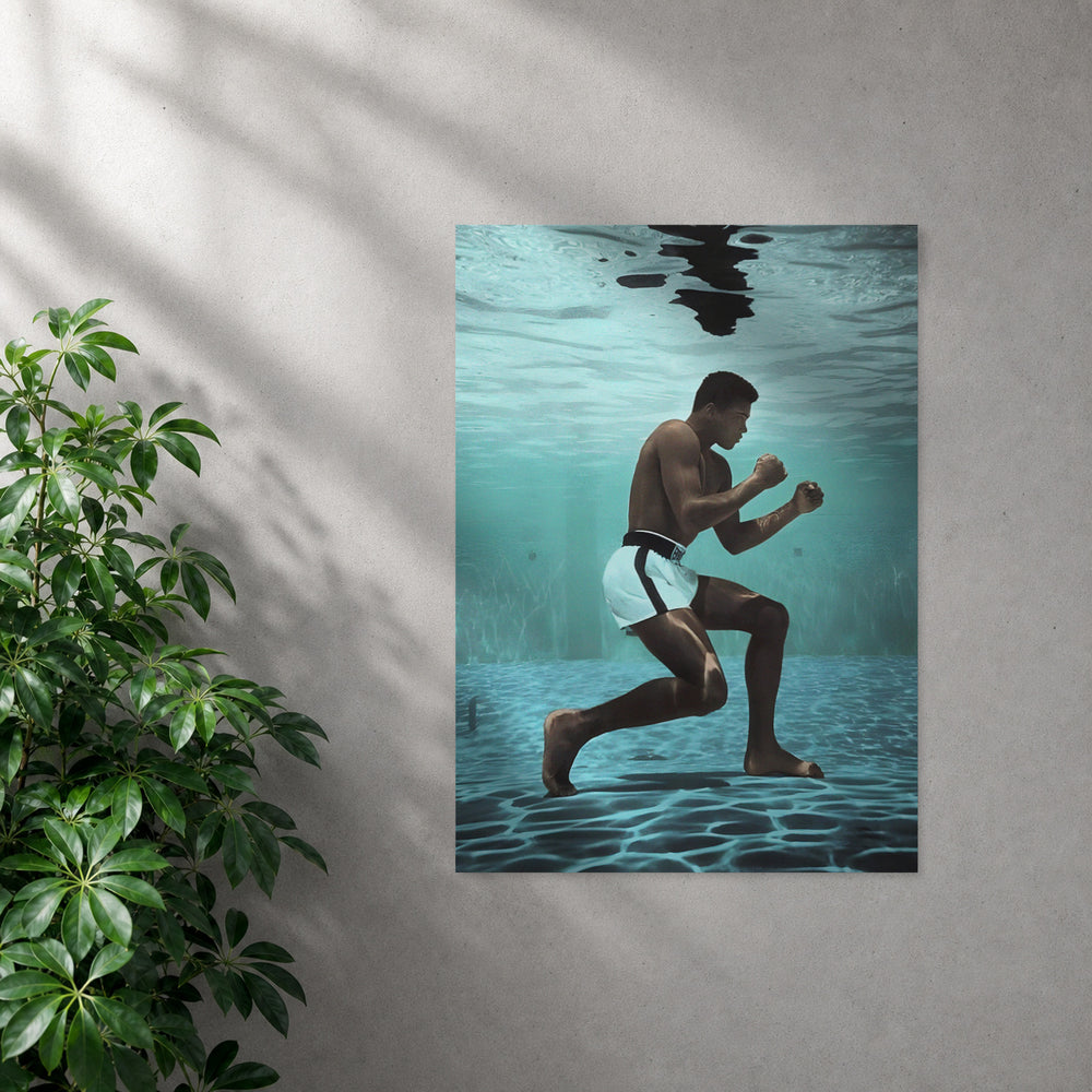 POLARIS_PDP_MOCKUP | SIN_MARCO | Ali - Focus