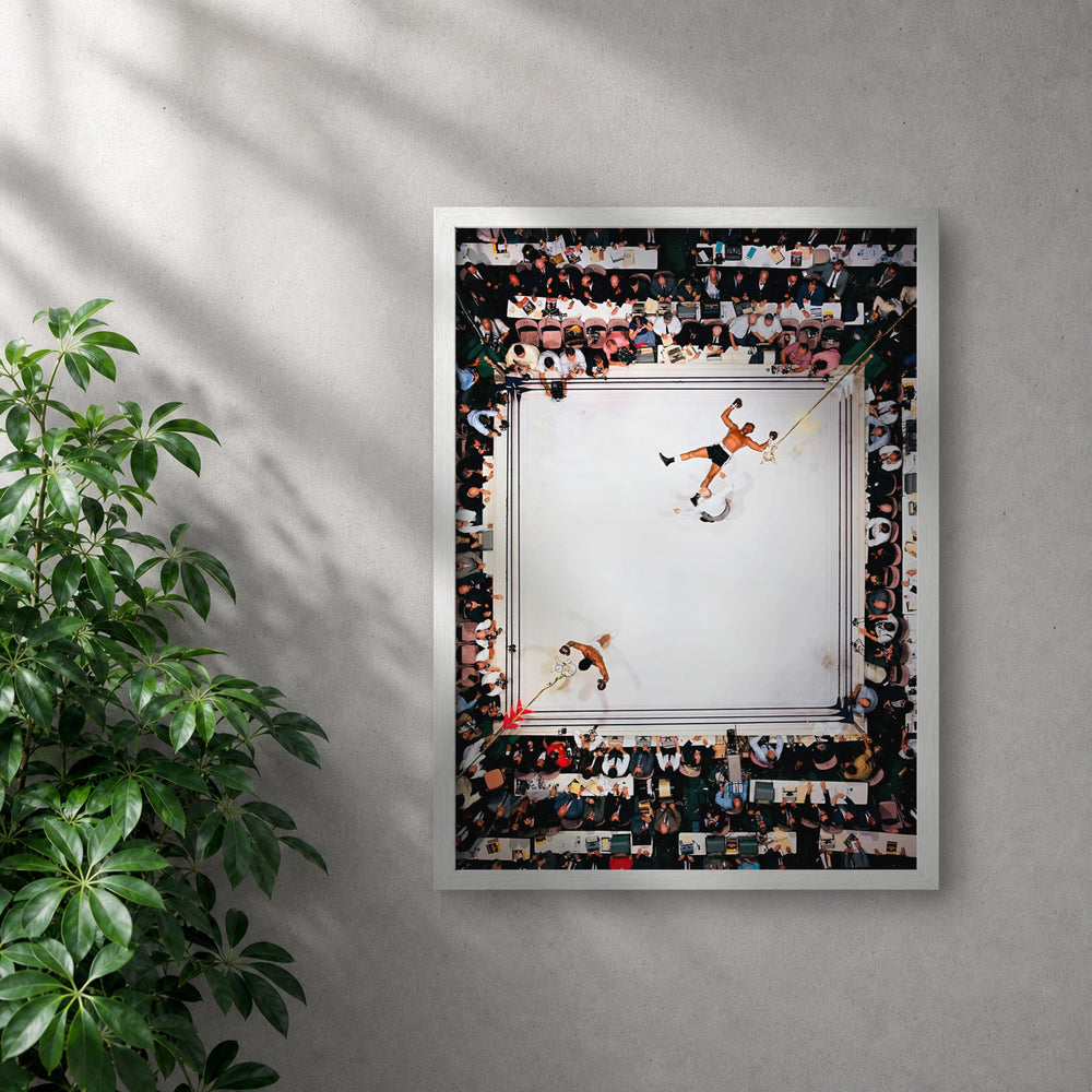 POLARIS_PDP_MOCKUP | BLANCO | Ali - Win