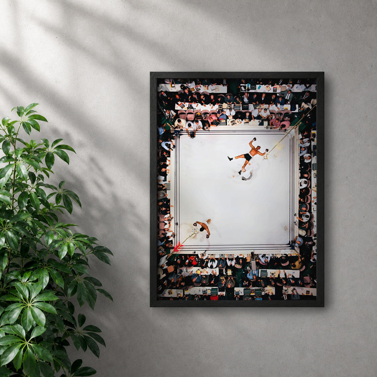 POLARIS_PDP_MOCKUP | NEGRO | Ali - Win