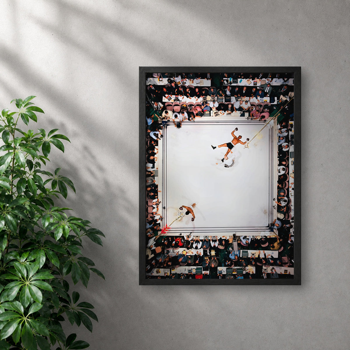 POLARIS_PDP_MOCKUP | NEGRO | Ali - Win
