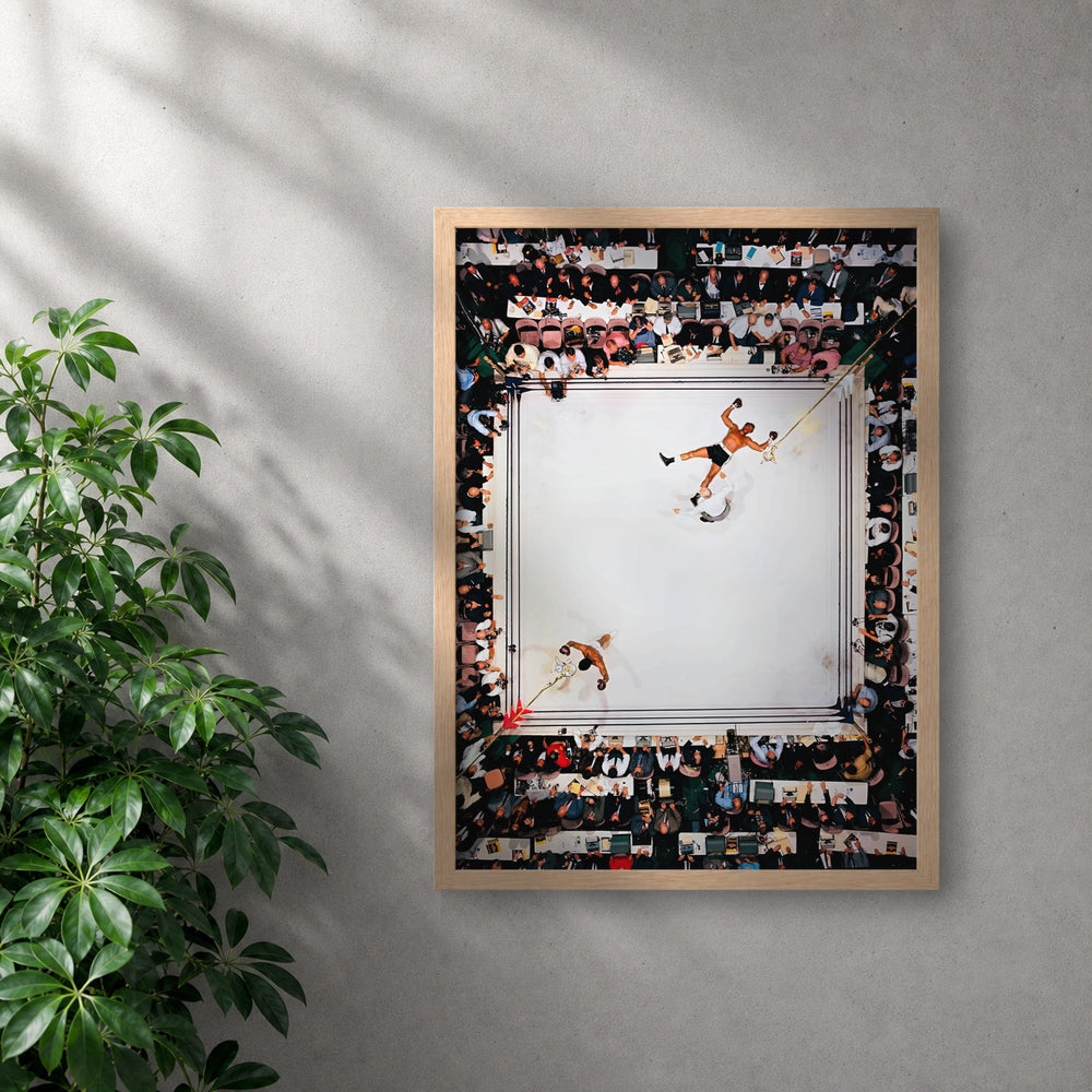 POLARIS_PDP_MOCKUP | ROBLE | Ali - Win