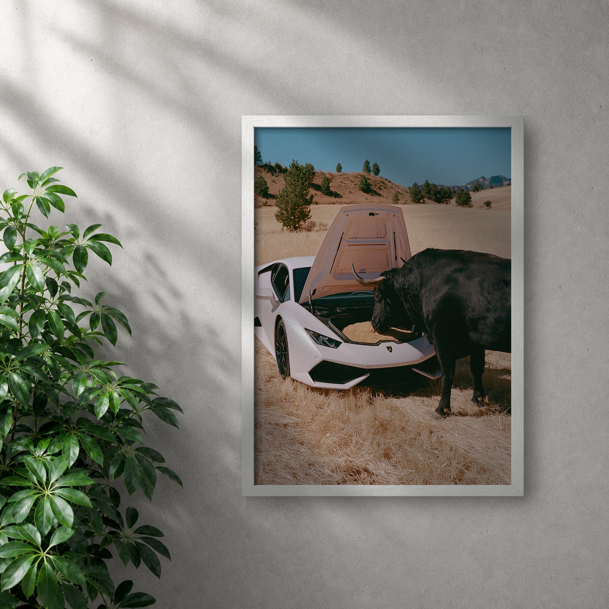 POLARIS_PDP_MOCKUP | BLANCO | Bull Run