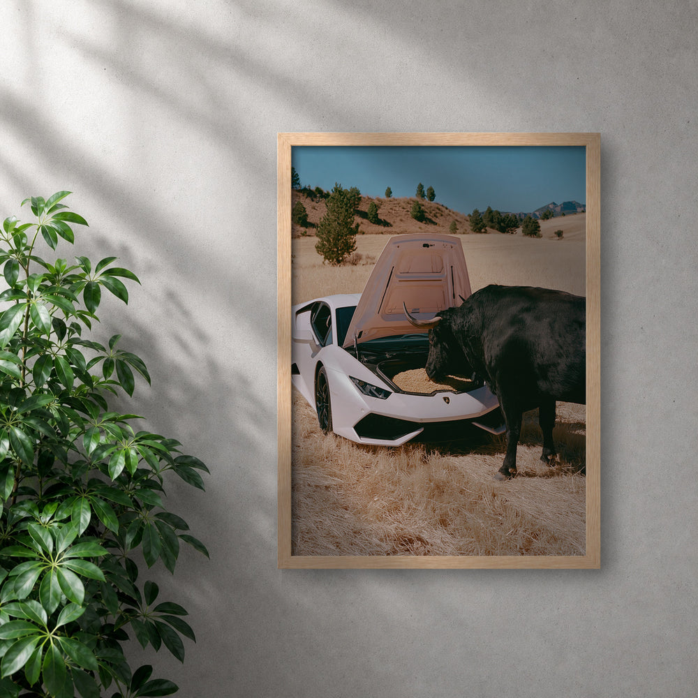 POLARIS_PDP_MOCKUP | ROBLE | Bull Run