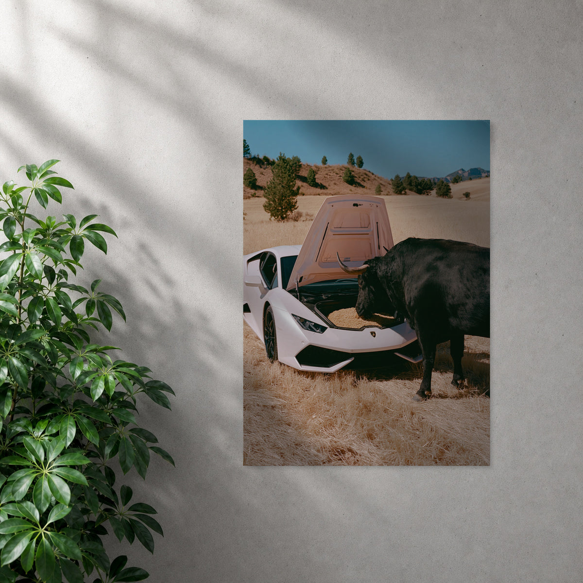 POLARIS_PDP_MOCKUP | SIN_MARCO | Bull Run