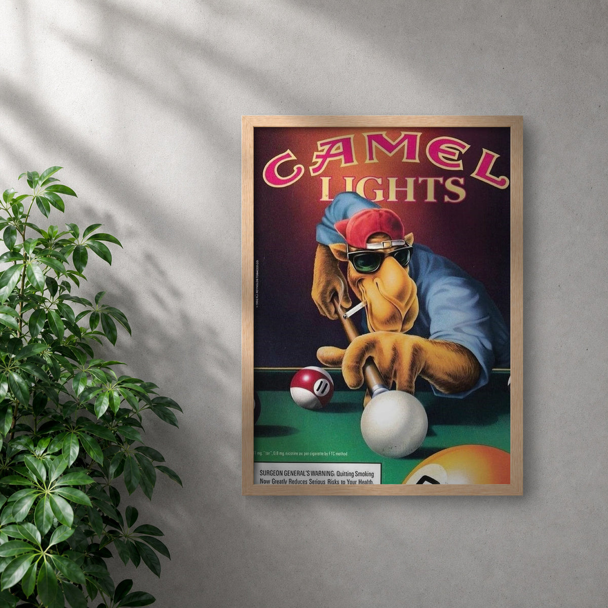 POLARIS_PDP_MOCKUP | ROBLE | Camel - Pool