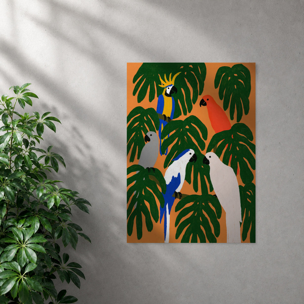 POLARIS_PDP_MOCKUP | SIN_MARCO | Canopy