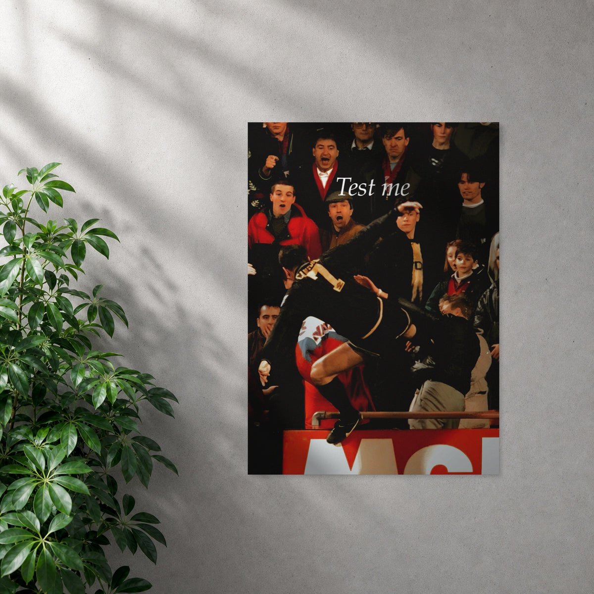 POLARIS_PDP_MOCKUP | SIN_MARCO | Cantona