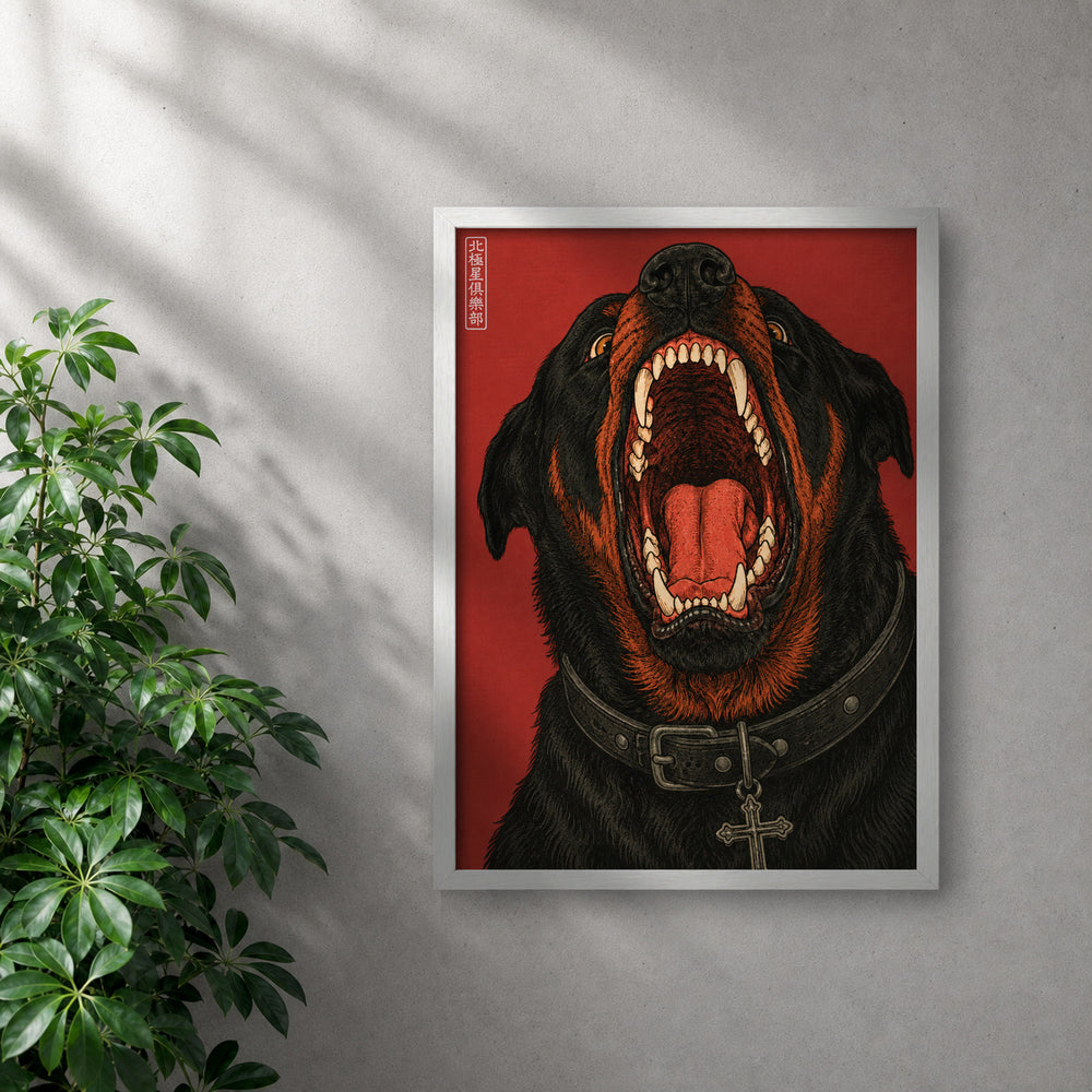 POLARIS_PDP_MOCKUP | BLANCO | Cerberus