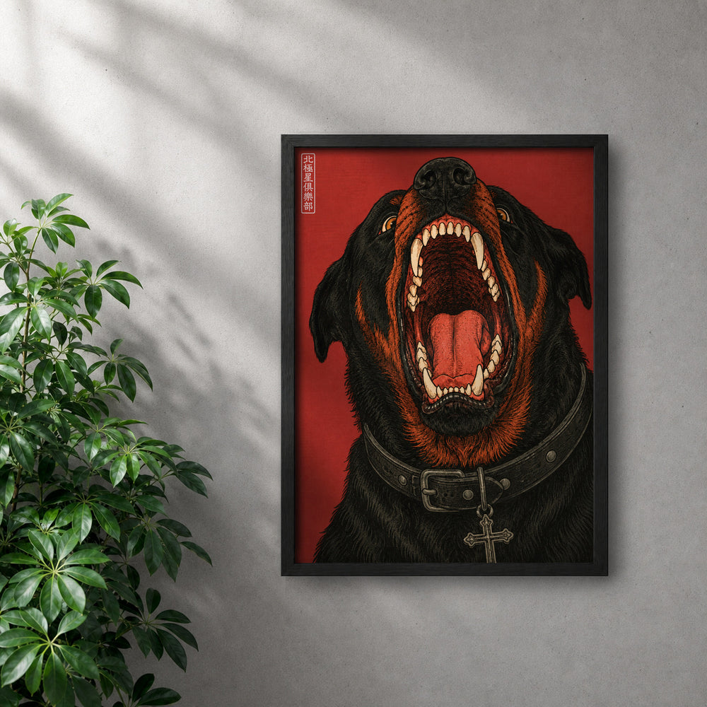 POLARIS_PDP_MOCKUP | NEGRO | Cerberus
