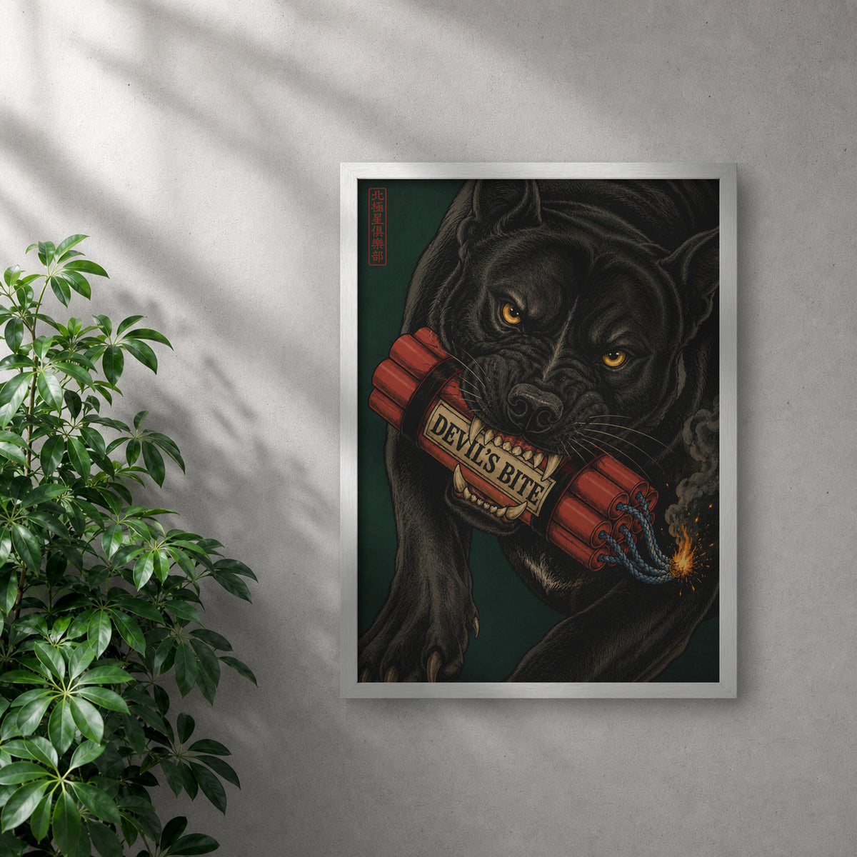 POLARIS_PDP_MOCKUP | BLANCO | Devil's Bite