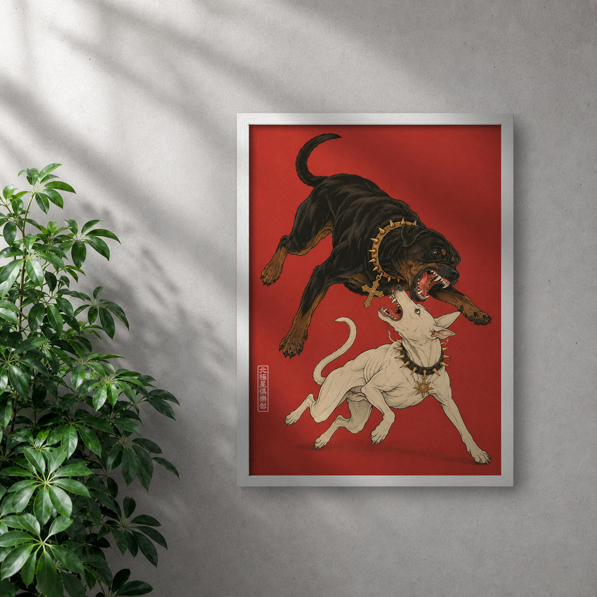 POLARIS_PDP_MOCKUP | BLANCO | Dogma