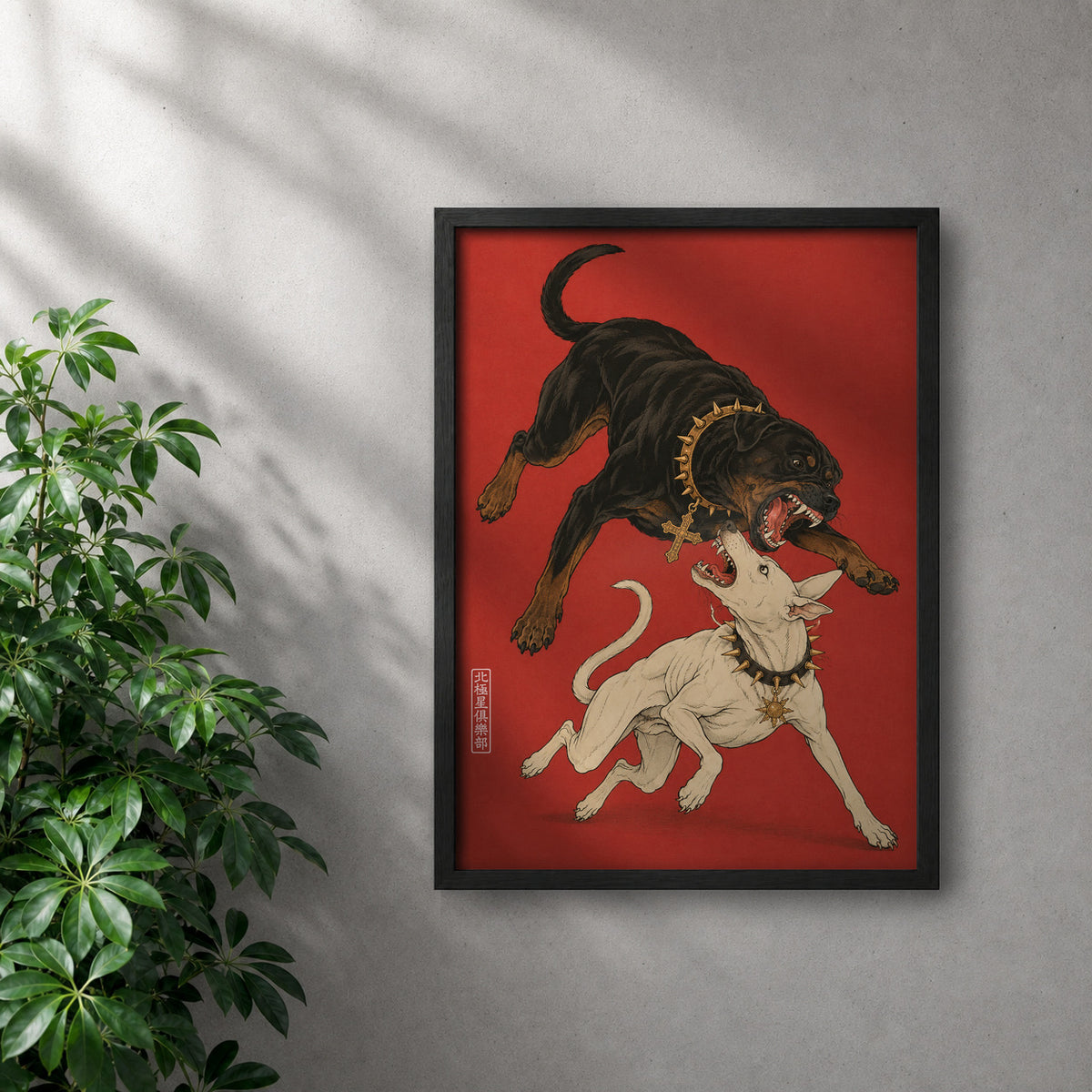 POLARIS_PDP_MOCKUP | NEGRO | Dogma