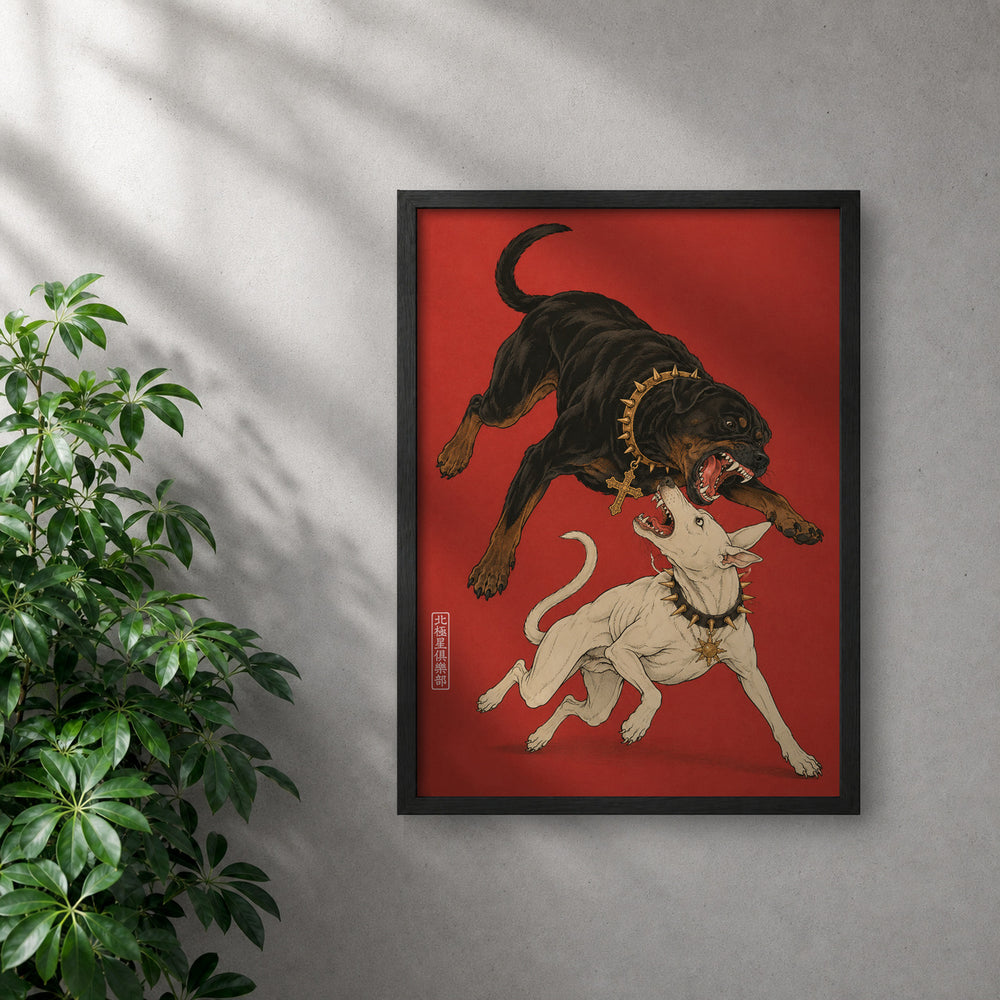 POLARIS_PDP_MOCKUP | NEGRO | Dogma