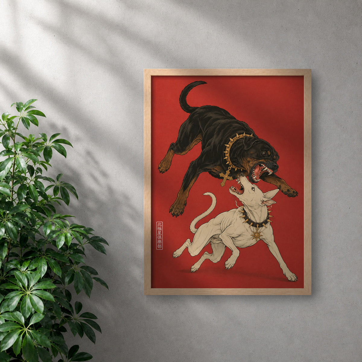 POLARIS_PDP_MOCKUP | ROBLE | Dogma