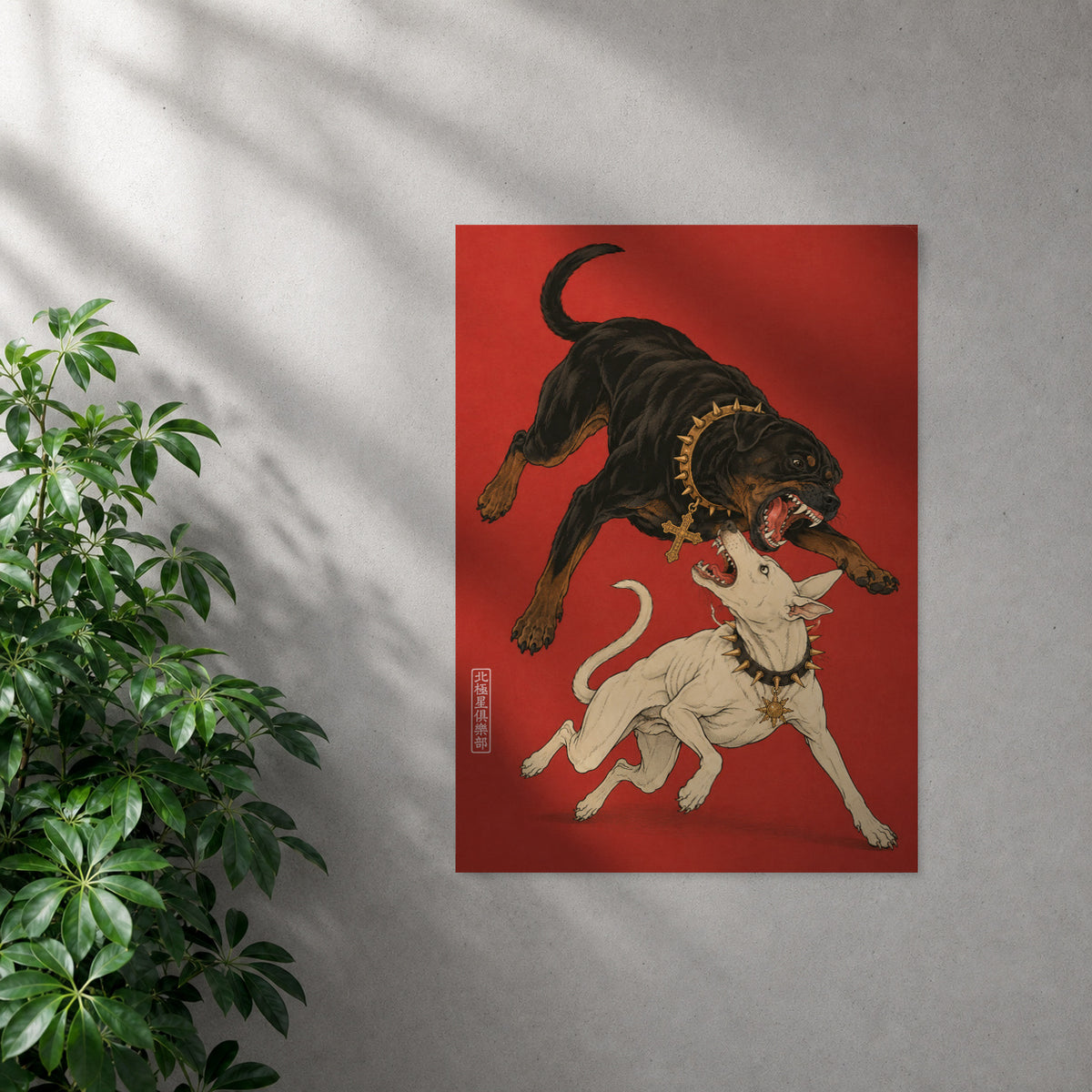 POLARIS_PDP_MOCKUP | SIN_MARCO | Dogma
