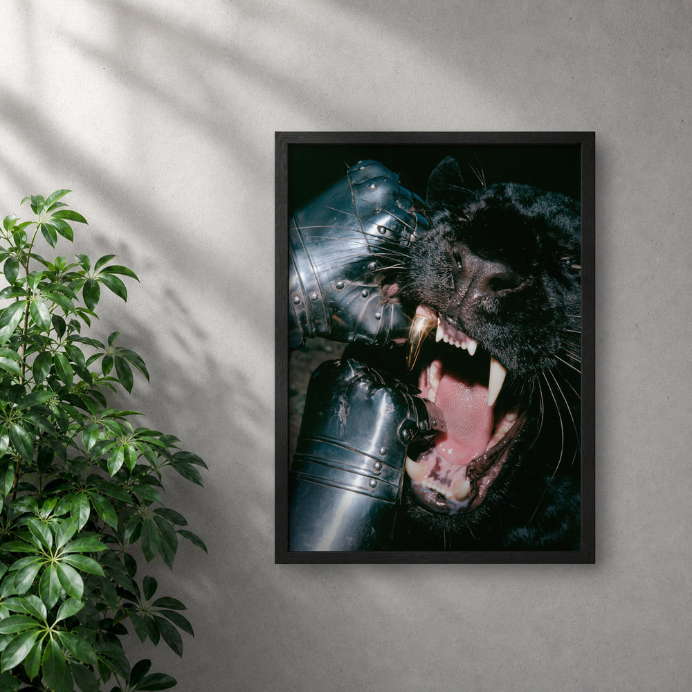 POLARIS_PDP_MOCKUP | NEGRO | golden-bite