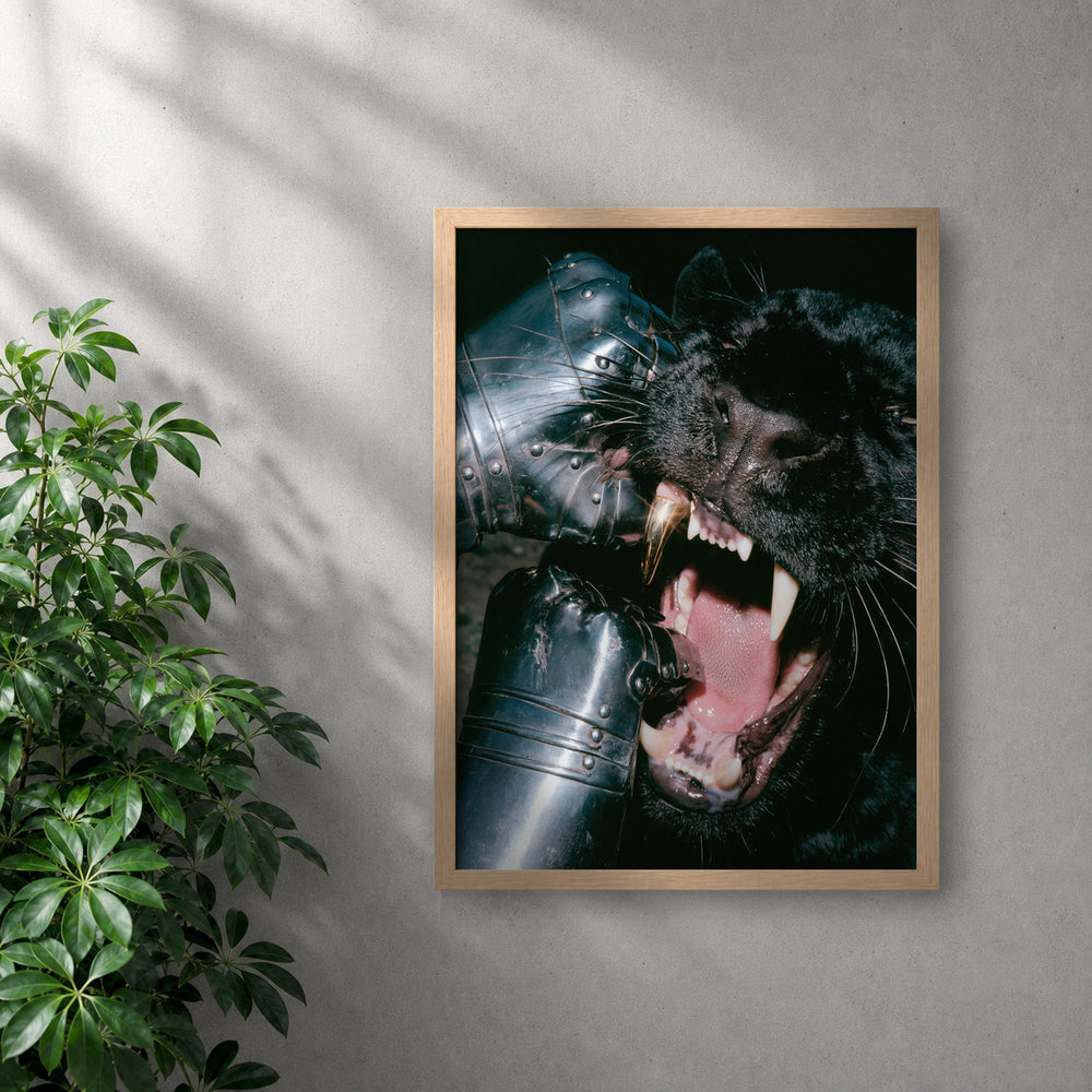 POLARIS_PDP_MOCKUP | ROBLE | golden-bite