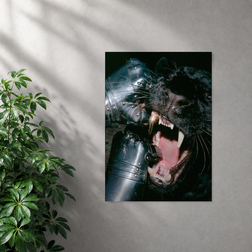 POLARIS_PDP_MOCKUP | SIN_MARCO | golden-bite
