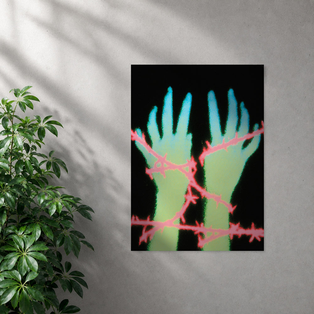 POLARIS_PDP_MOCKUP | SIN_MARCO | Handle With Care