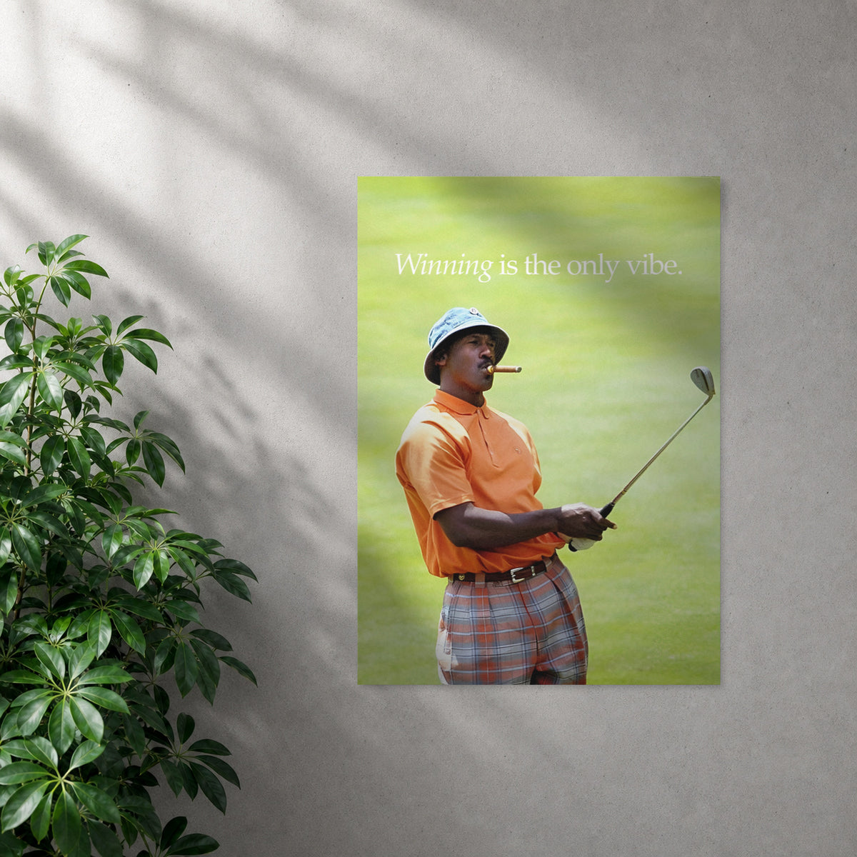 POLARIS_PDP_MOCKUP | SIN_MARCO | Jordan - Vibe