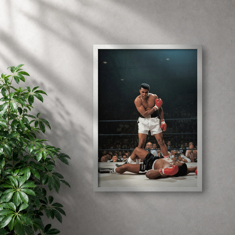 POLARIS_PDP_MOCKUP | BLANCO | Mohammad Ali