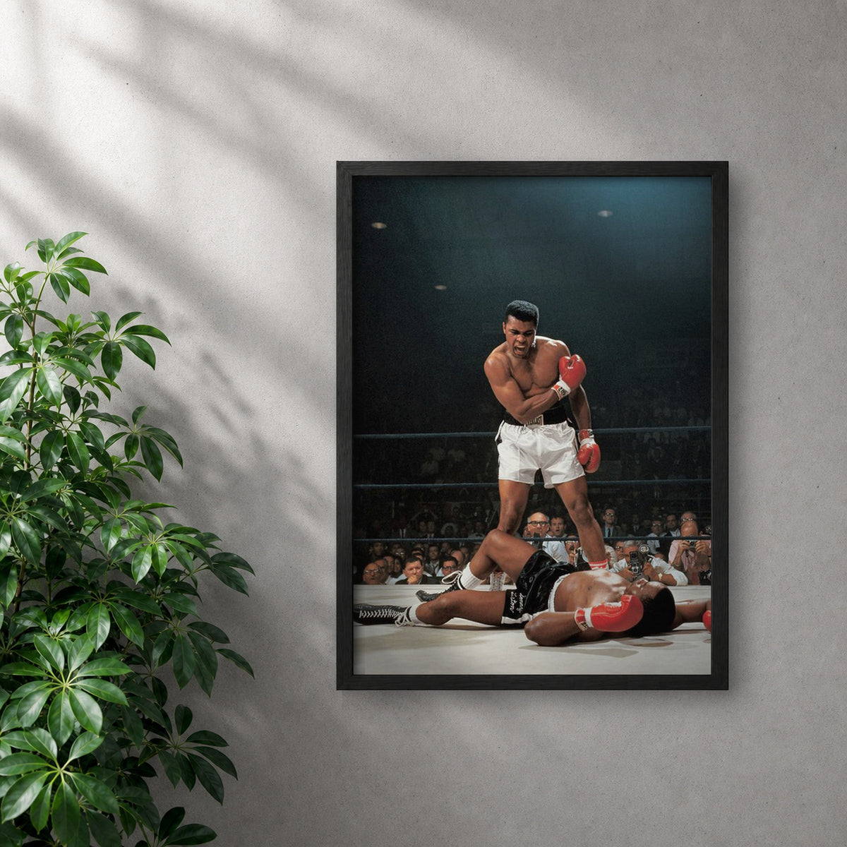 POLARIS_PDP_MOCKUP | NEGRO | Mohammad Ali