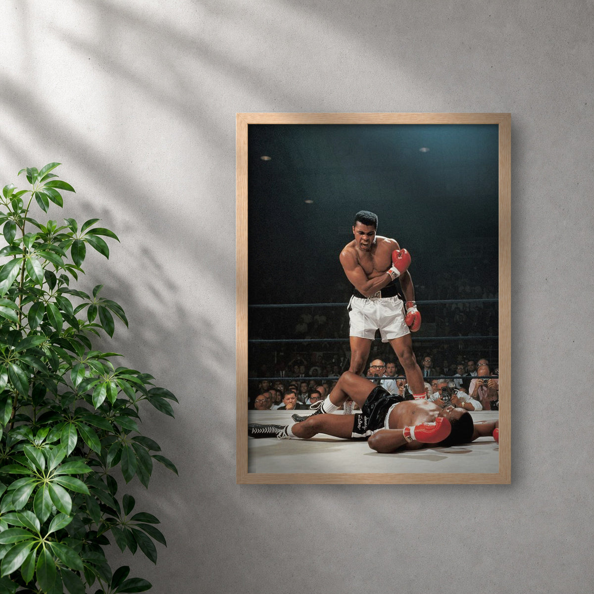 POLARIS_PDP_MOCKUP | ROBLE | Mohammad Ali