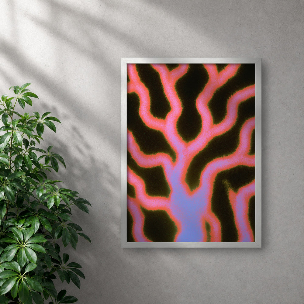 POLARIS_PDP_MOCKUP | BLANCO | Night Garden
