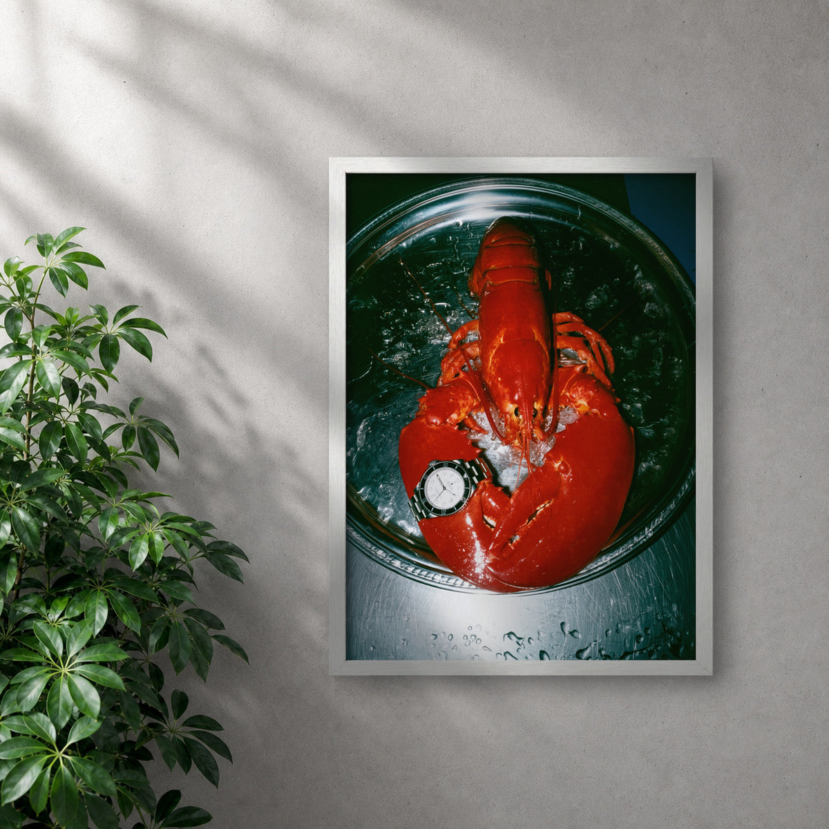 POLARIS_PDP_MOCKUP | BLANCO | oyster