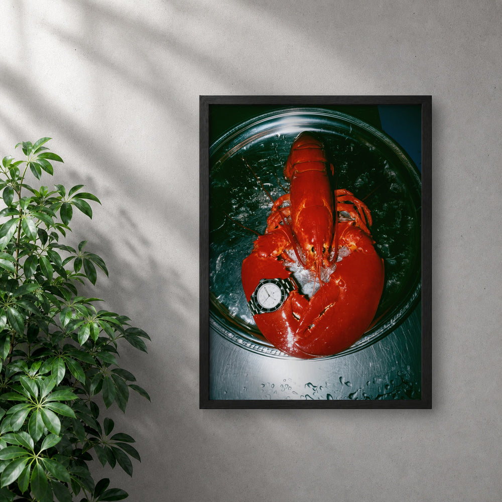 POLARIS_PDP_MOCKUP | NEGRO | oyster