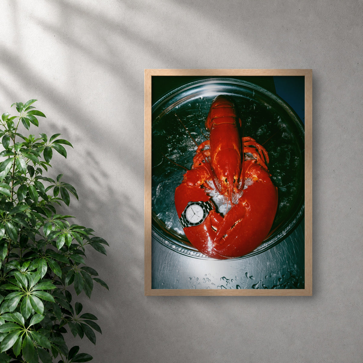 POLARIS_PDP_MOCKUP | ROBLE | oyster