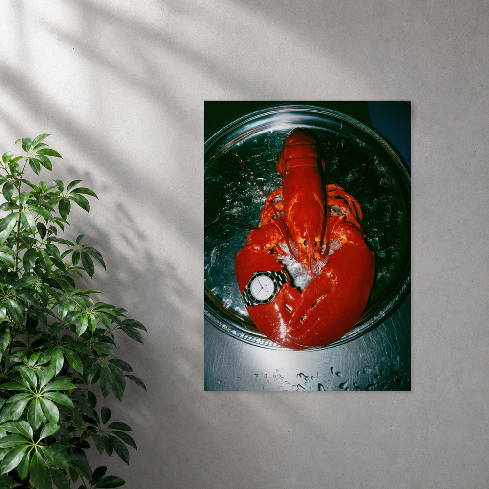 POLARIS_PDP_MOCKUP | SIN_MARCO | oyster