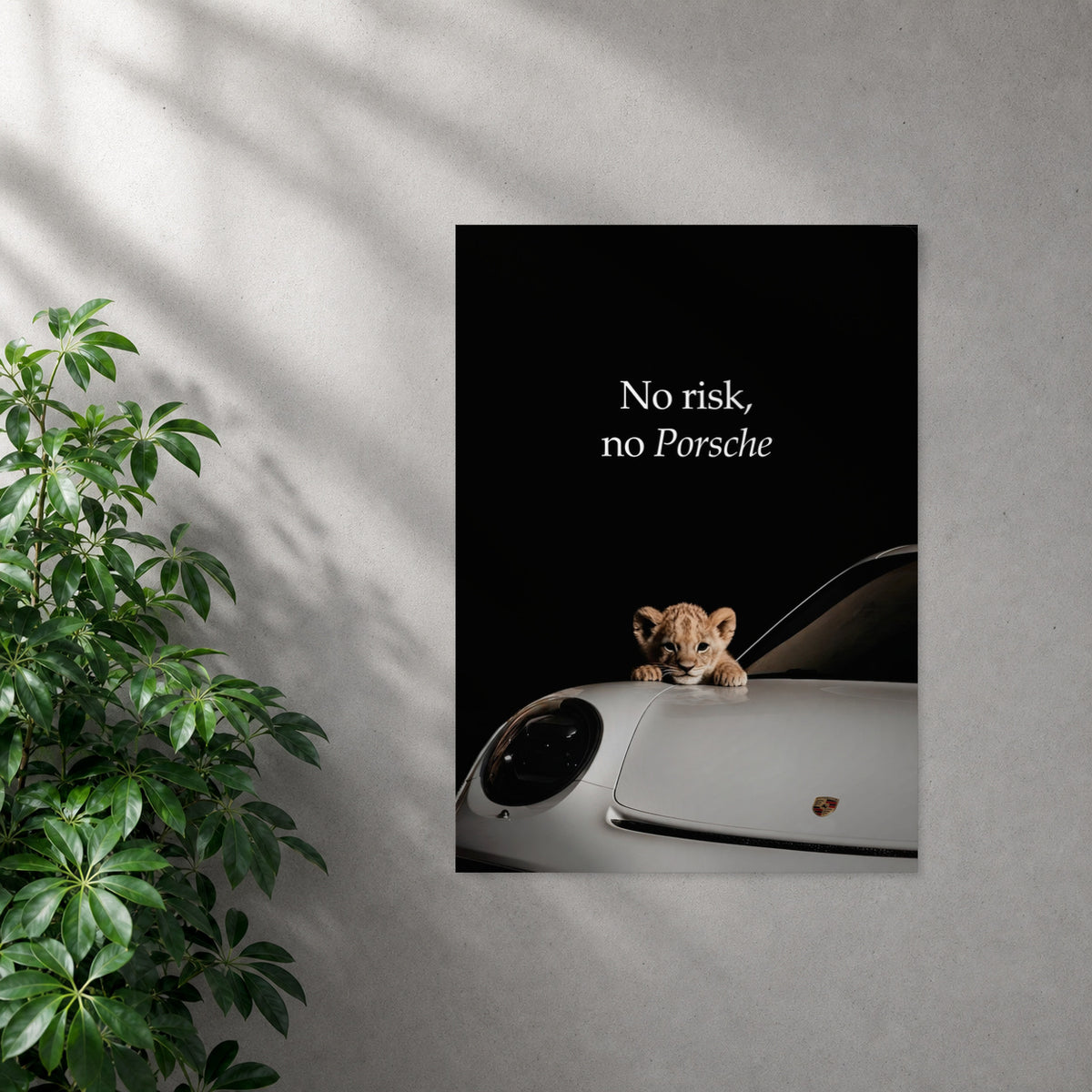POLARIS_PDP_MOCKUP | SIN_MARCO | Porsche - No Risk