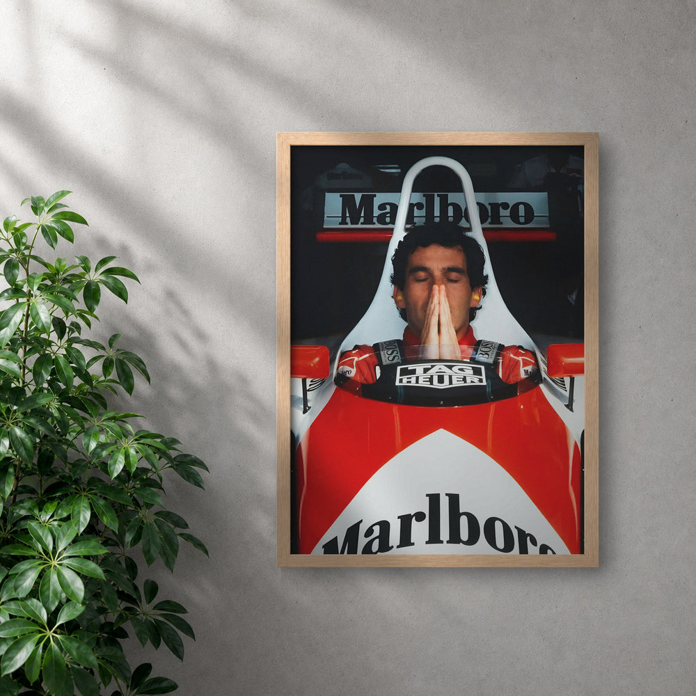 POLARIS_PDP_MOCKUP | ROBLE | Senna