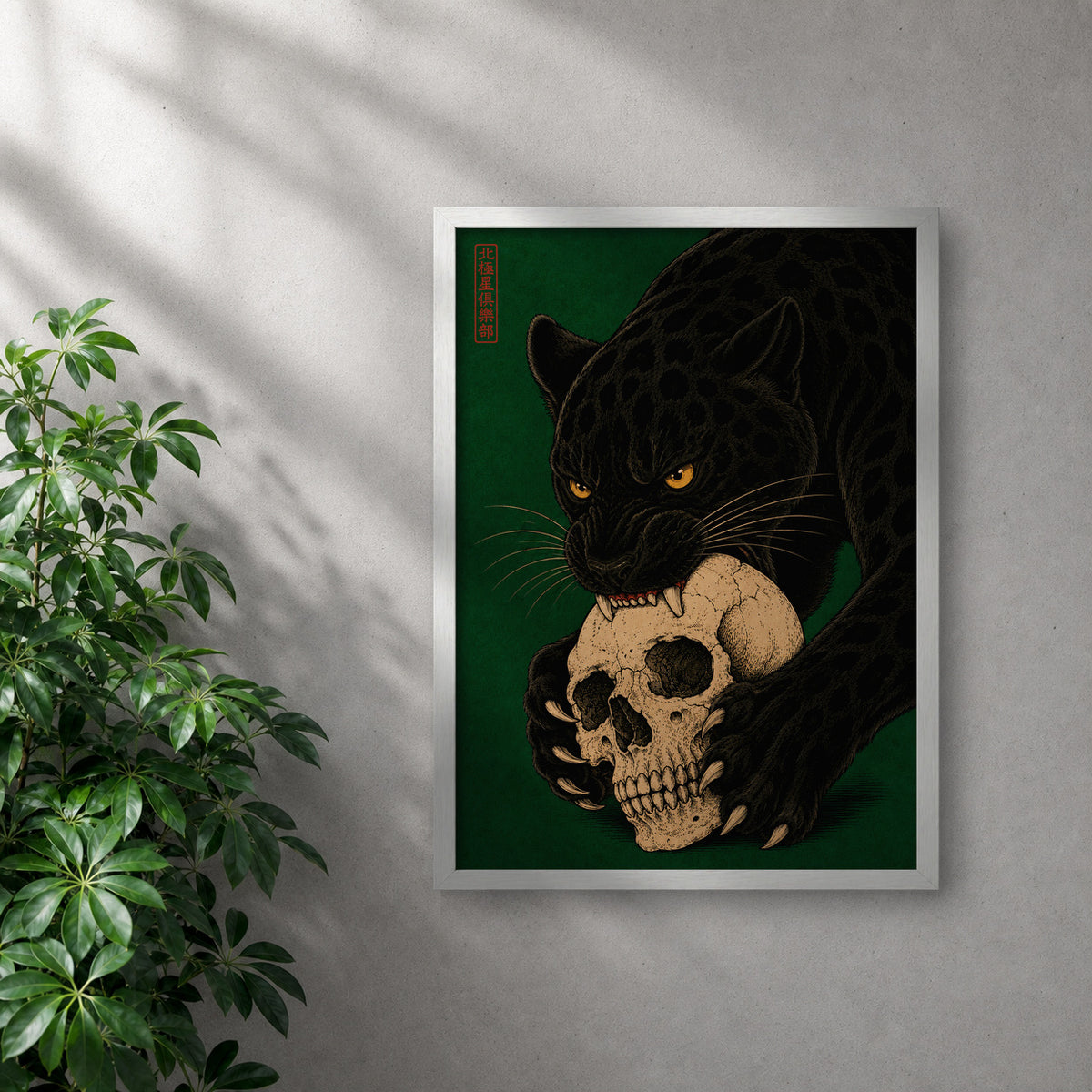 POLARIS_PDP_MOCKUP | BLANCO | Skull Tax