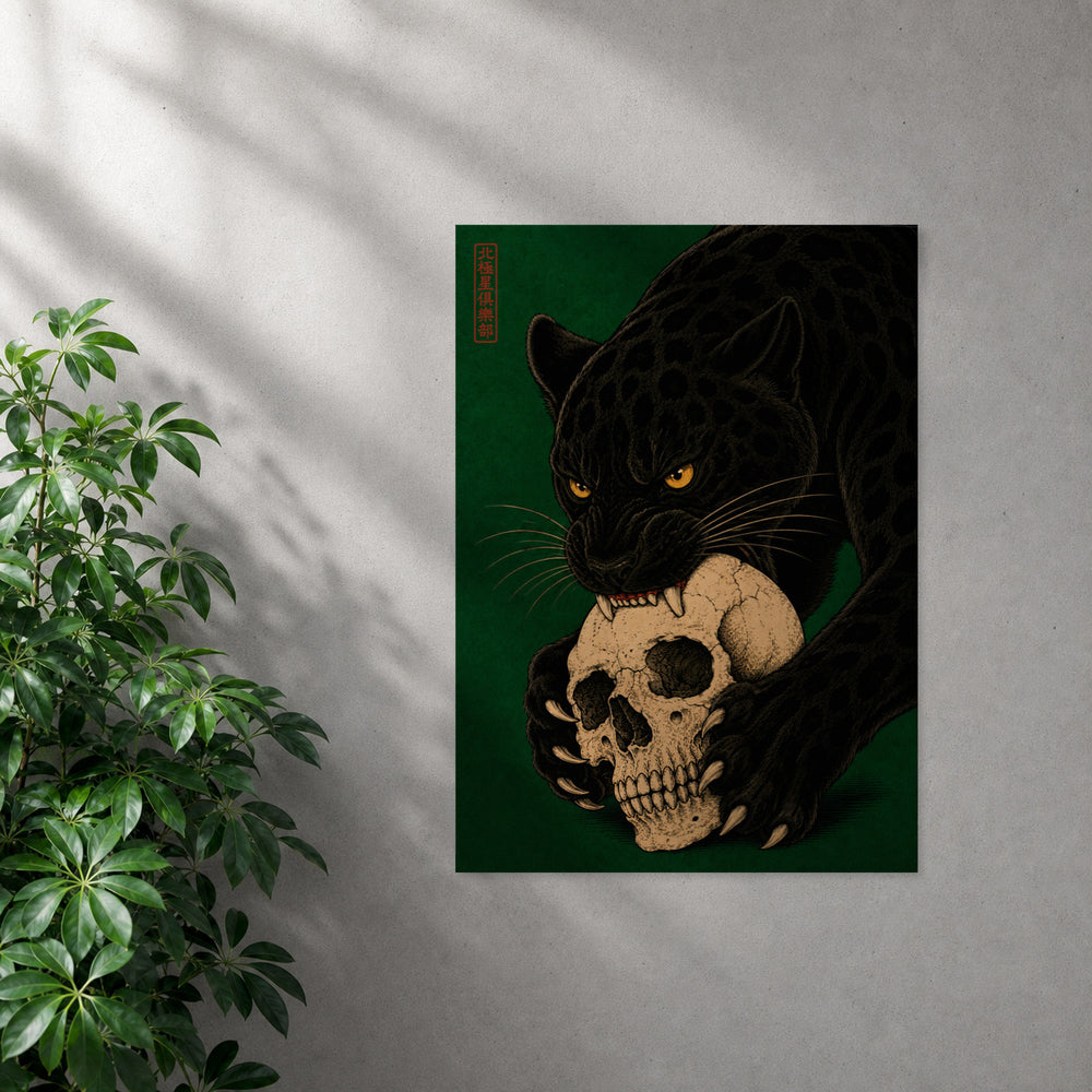 POLARIS_PDP_MOCKUP | SIN_MARCO | Skull Tax
