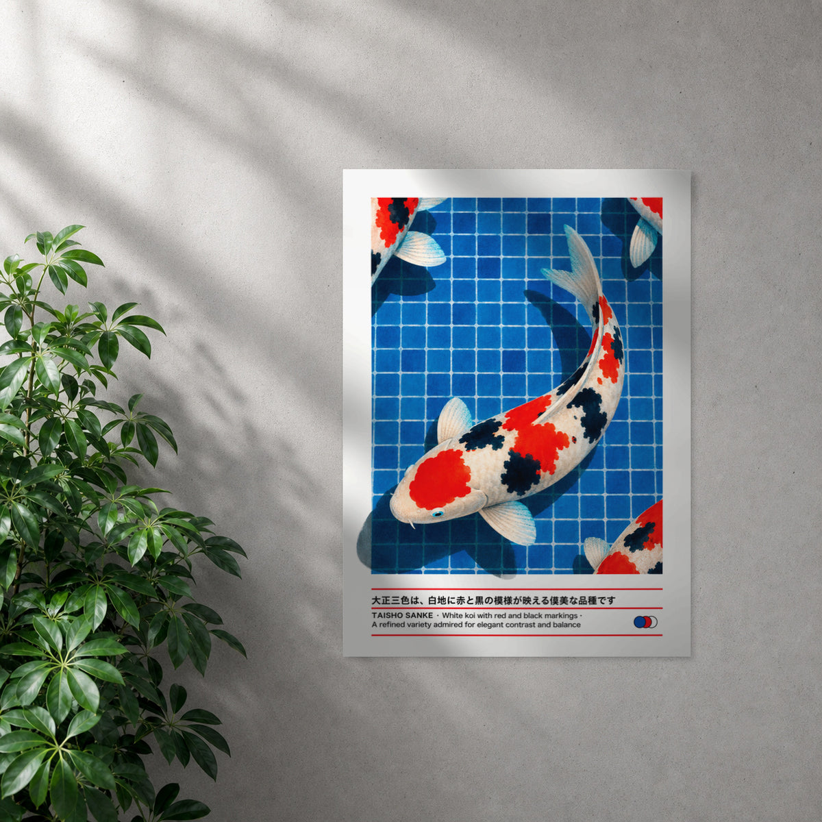 POLARIS_PDP_MOCKUP | SIN_MARCO | Taisho Sanke