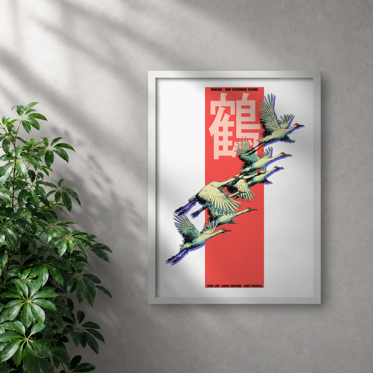 POLARIS_PDP_MOCKUP | BLANCO | Tancho