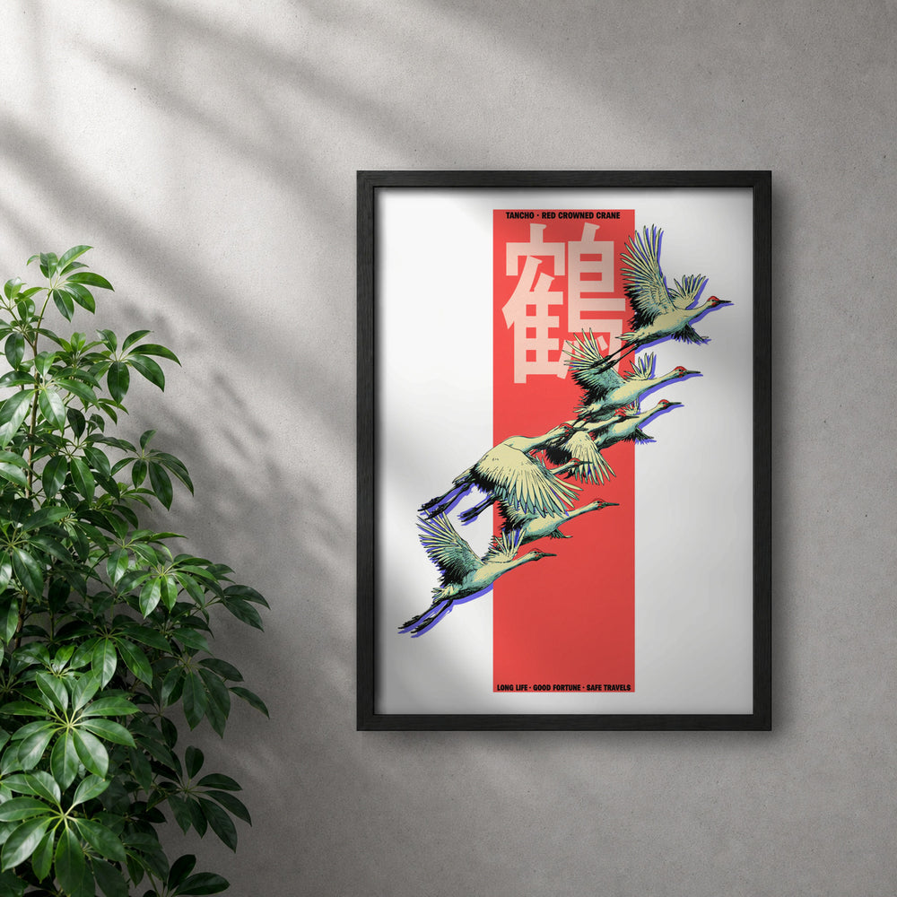 POLARIS_PDP_MOCKUP | NEGRO | Tancho