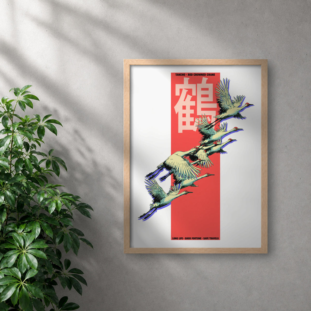 POLARIS_PDP_MOCKUP | ROBLE | Tancho