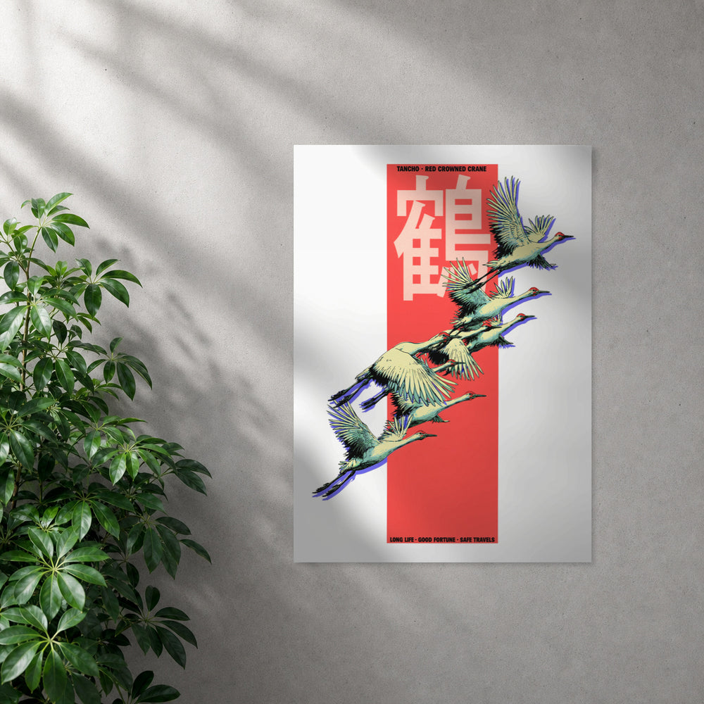 POLARIS_PDP_MOCKUP | SIN_MARCO | Tancho