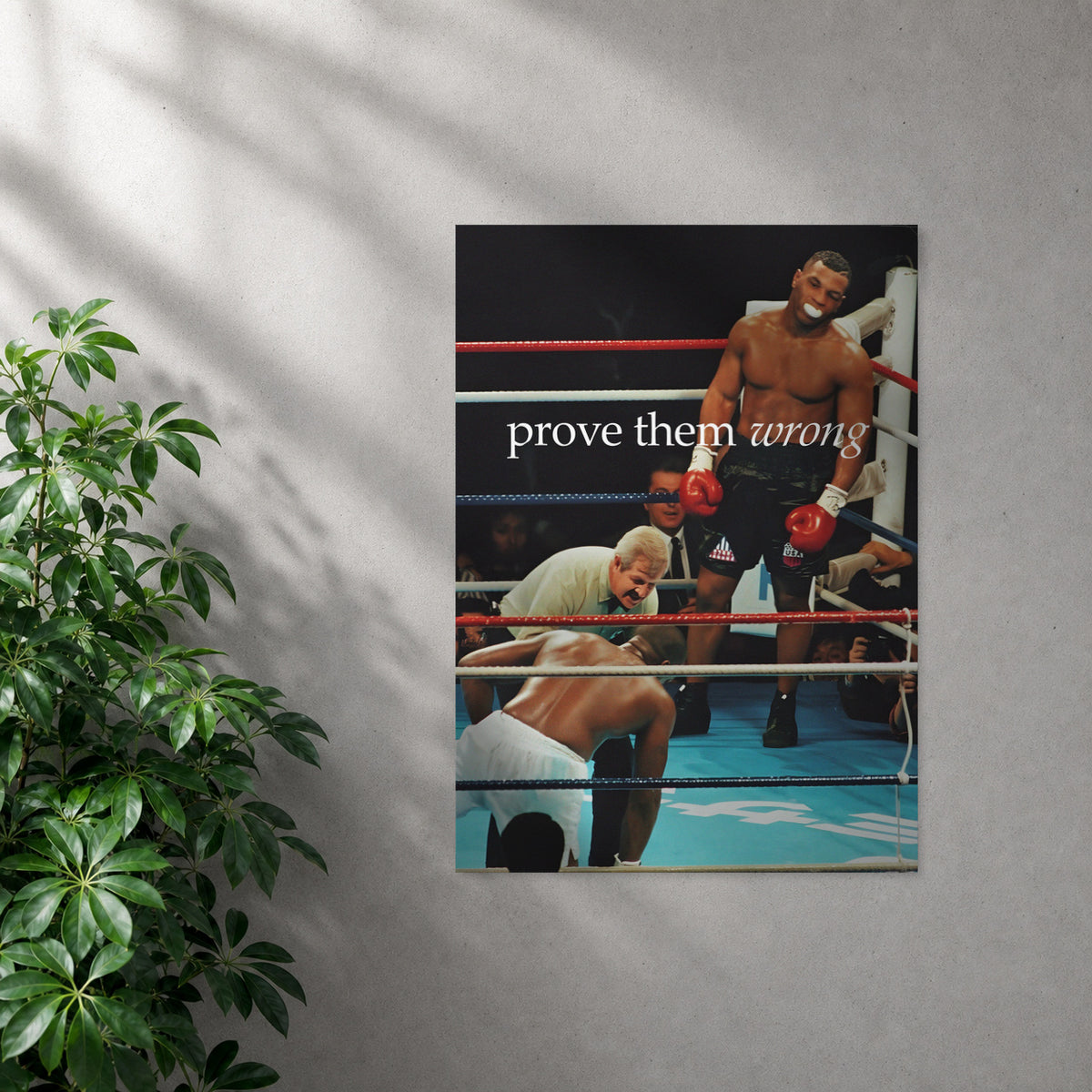 POLARIS_PDP_MOCKUP | SIN_MARCO | Tyson - Prove